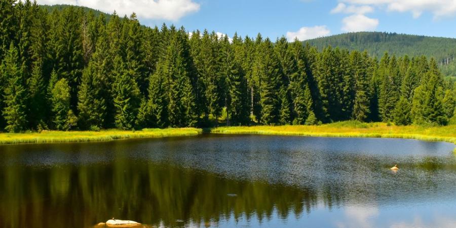 Wetlands are a hot topic...and not a very happy one