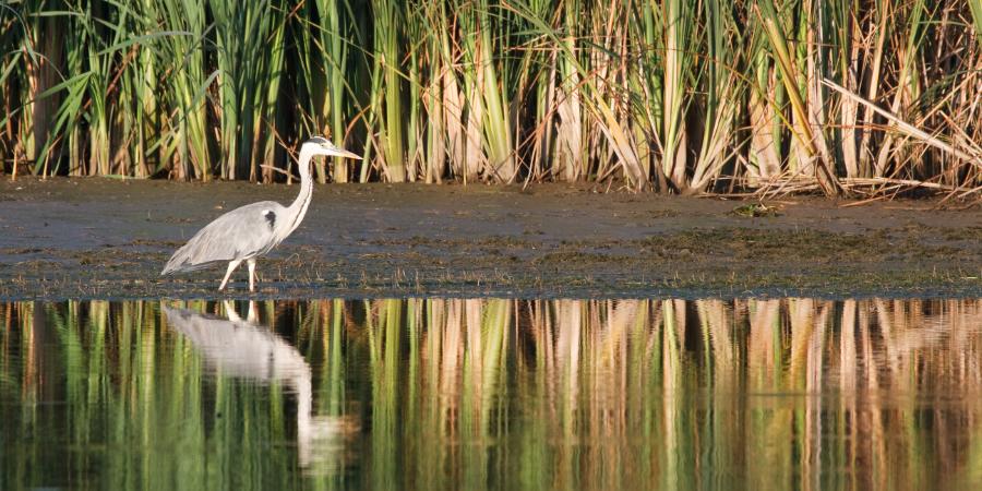 SCOTUS redefines WOTUS: The Impact of the Sackett Decision on Federally Regulated Wetlands and Waterways 