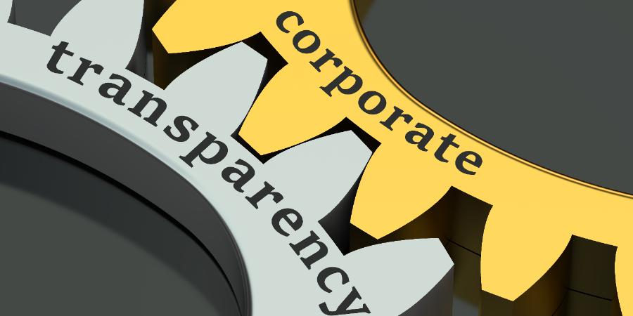 CORPORATE TRANSPARENCY ACT NOW IN EFFECT